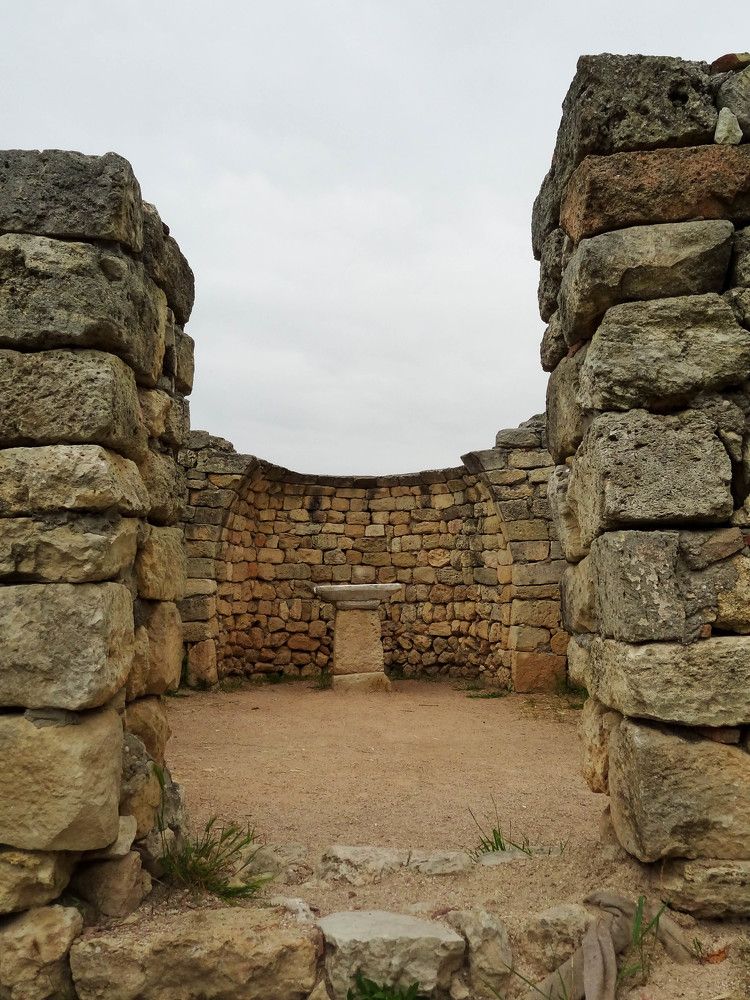 Фотография автора Ирина Дашевская