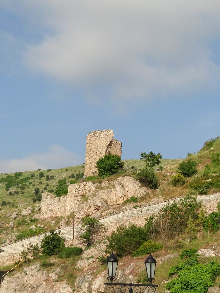 Фотография автора Ирина Дашевская