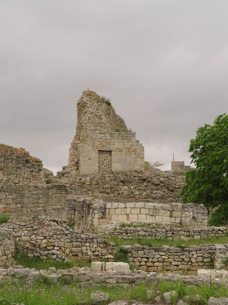 Фотография автора Ирина Дашевская