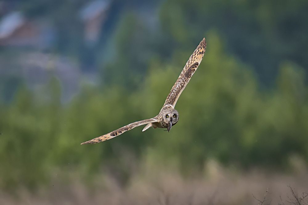 Photograph by Константин Абрамов