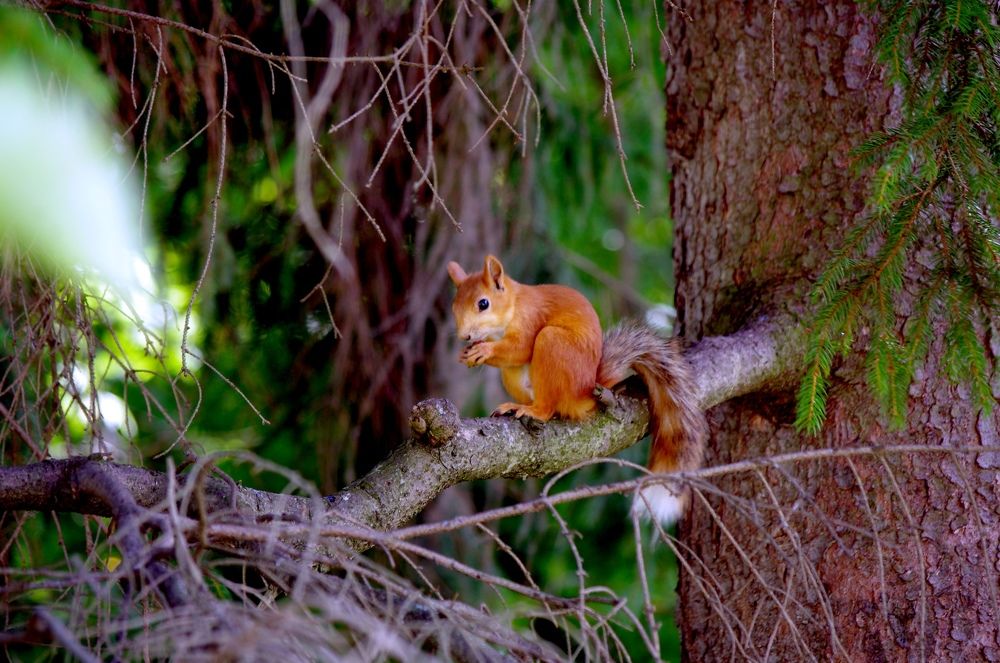 Photograph by Светлана Герасимчук