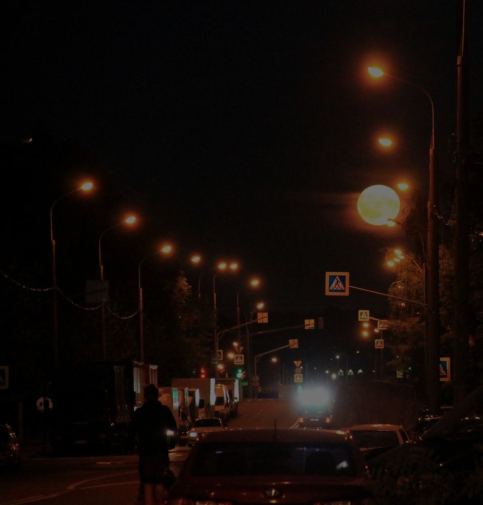 Photograph by Алиса Григорьева