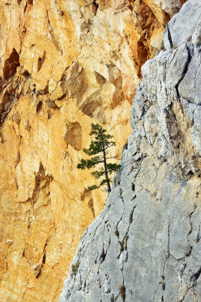 Photograph by Владимир Бочковский
