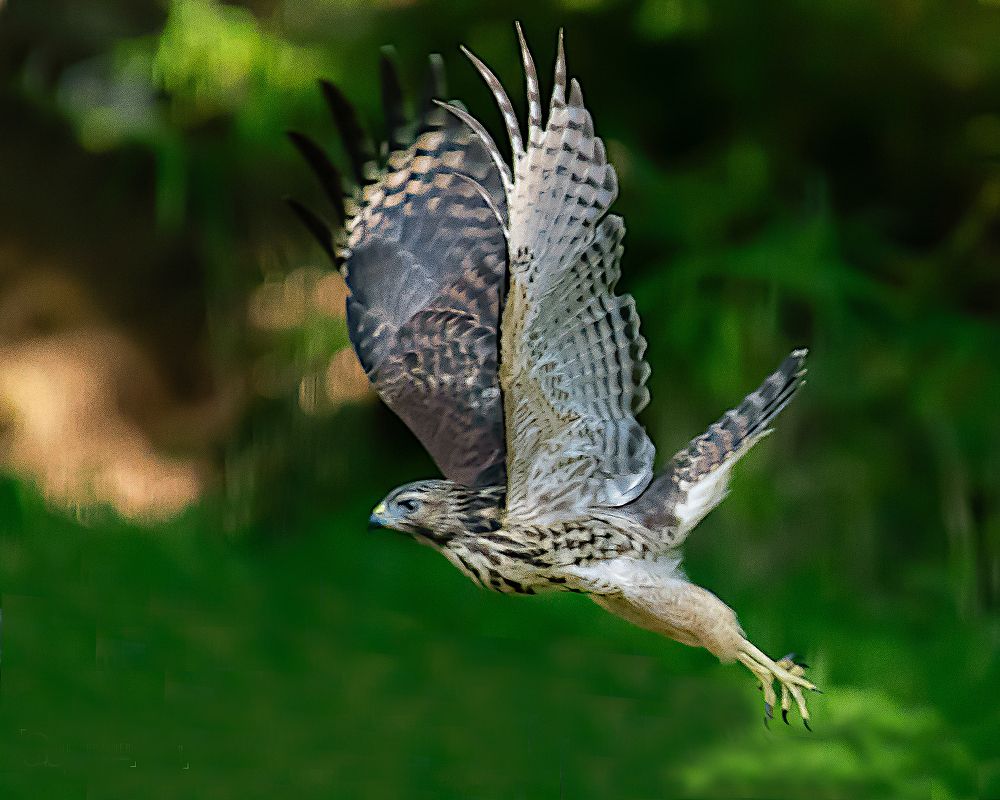 Photograph by Javier Diazgranados