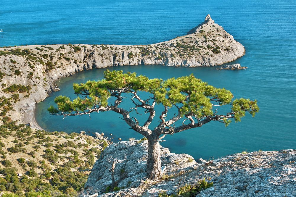 Photograph by Владимир Бочковский