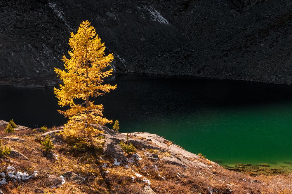 Photograph by Kaiser Sozo