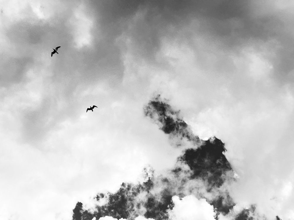 Photograph by Татьяна Колотилова