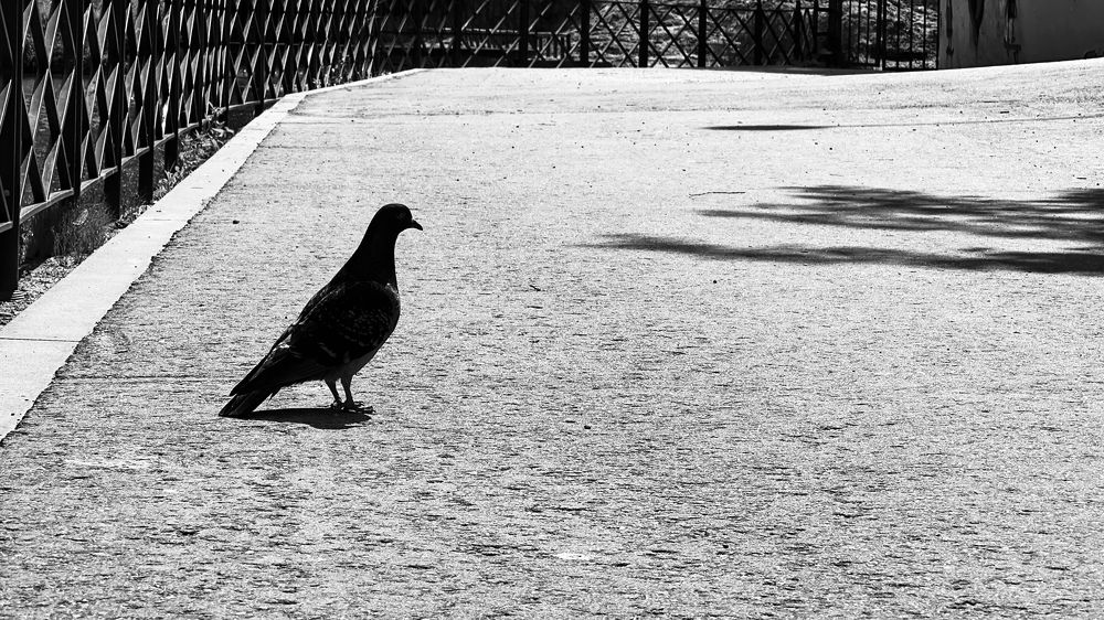 Photograph by Татьяна Колотилова