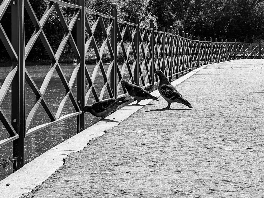 Photograph by Татьяна Колотилова