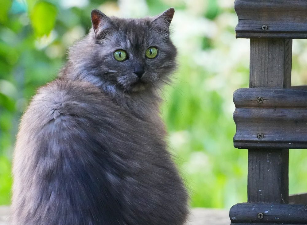 Photograph by Михаил Трусов