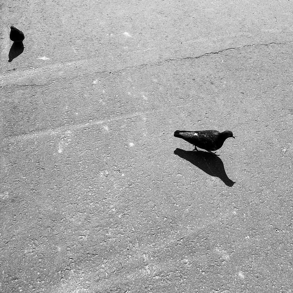 Photograph by Татьяна Колотилова