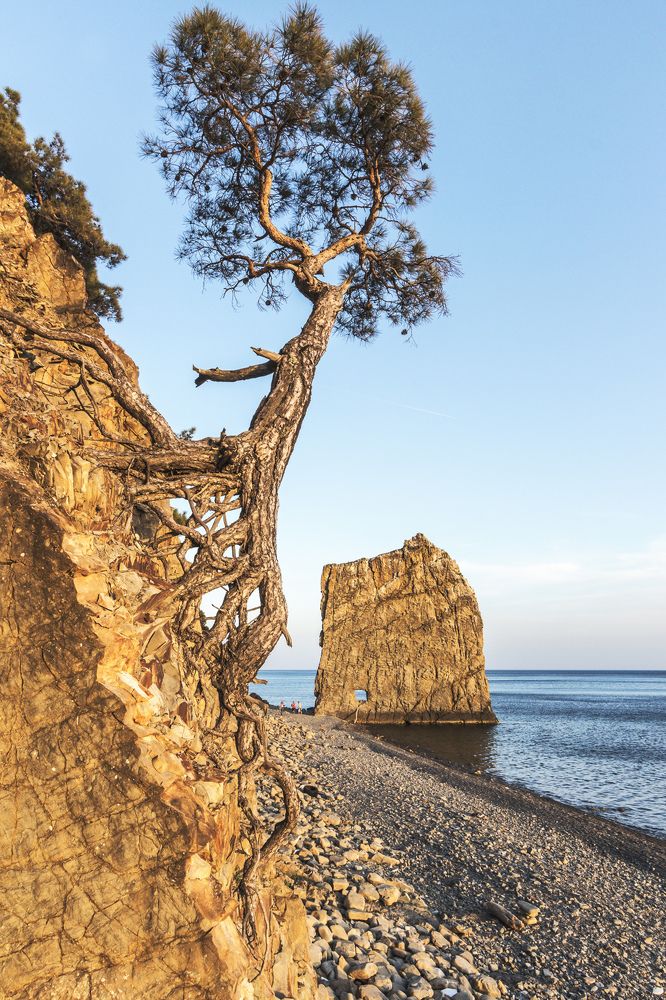 Photograph by Владимир Бочковский
