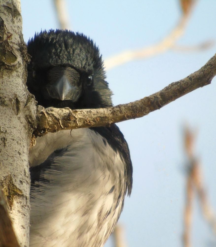 Глаза в глаза