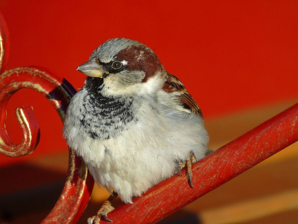 Photograph by Надежда Батракова