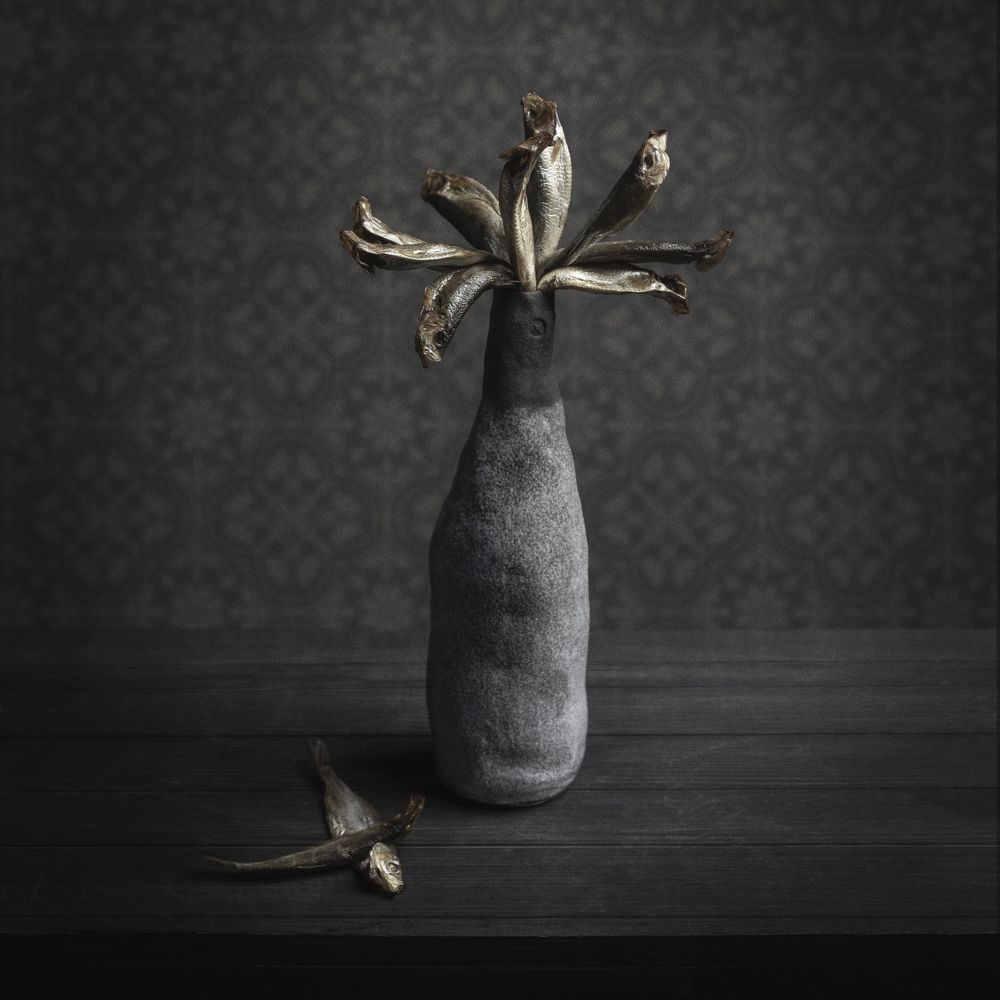 Photograph by Dominique Agius