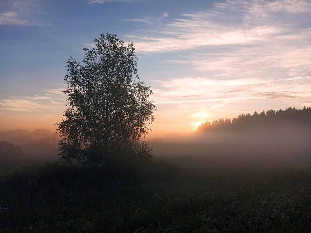 Photograph by Анна Савина