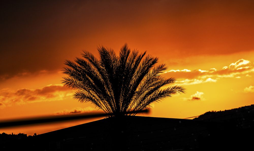 Фотография автора Mohammed sajd Abo ganem