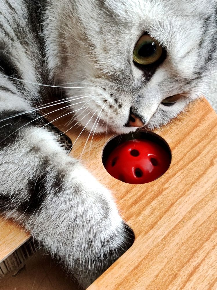 Photograph by Надежда Батракова