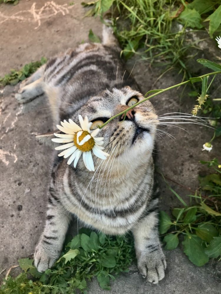 Photograph by Шестакова Наталья