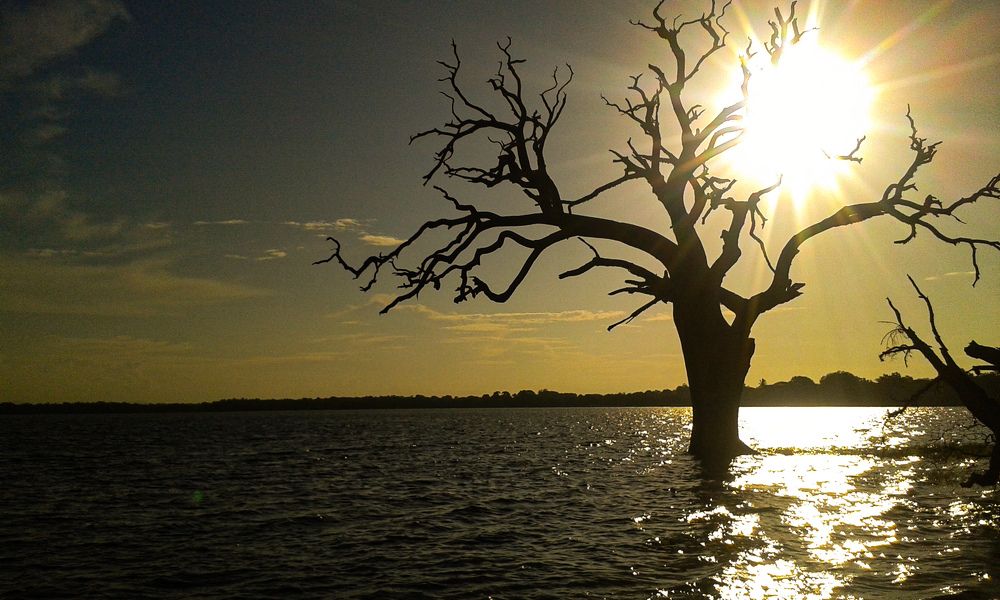 Photograph by Janitha Athapaththu