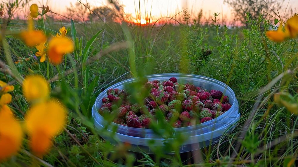 Photograph by Мария Широких