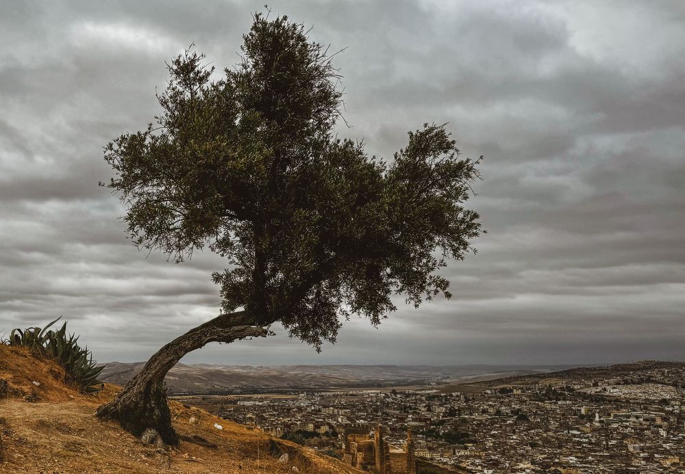 Photograph by Ирина Сатырь