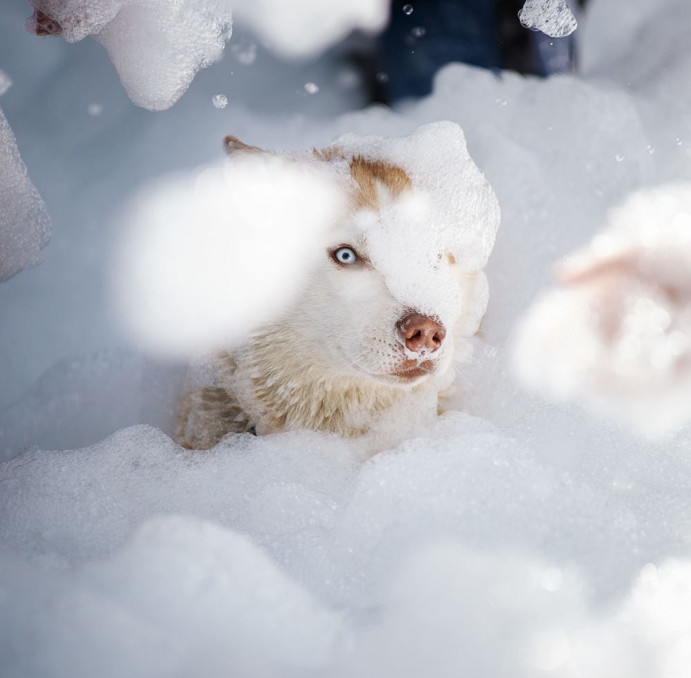 Photograph by Григорьева Юлия