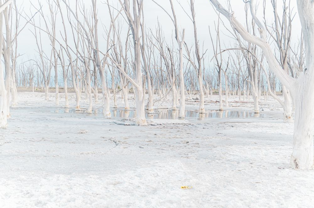 Photograph by Lali Varveri