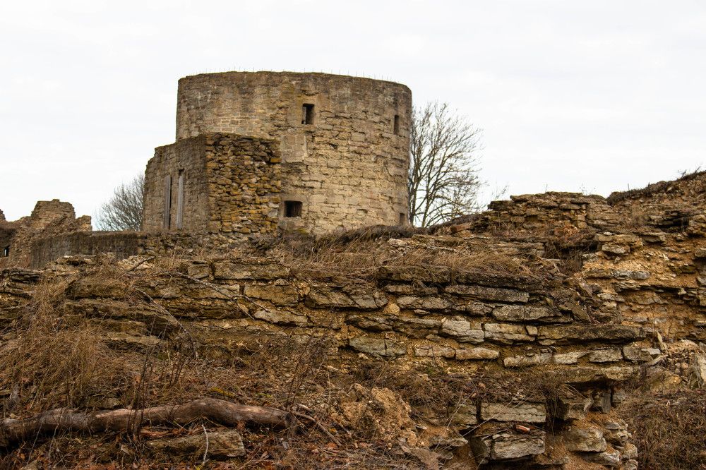 Photograph by Полина Белокопытова