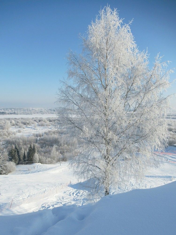 Photograph by Ольга Березовская