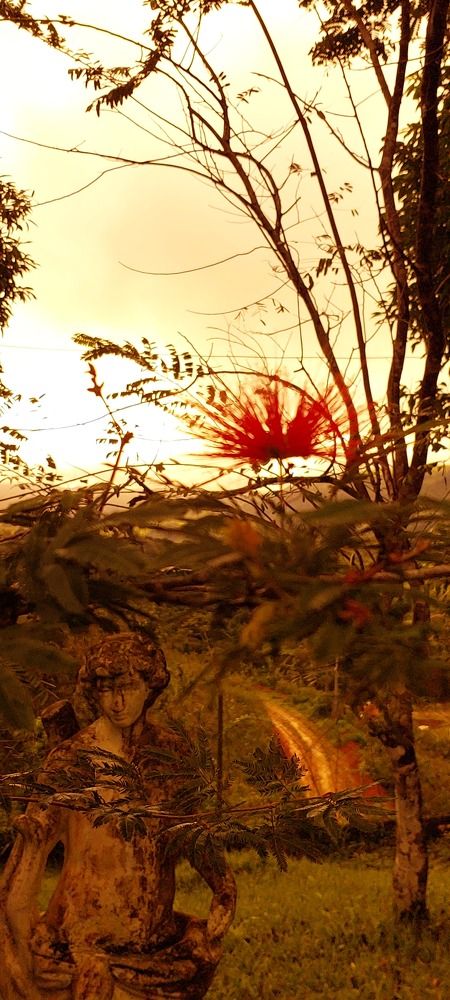 Photograph by CRINALDO REIS