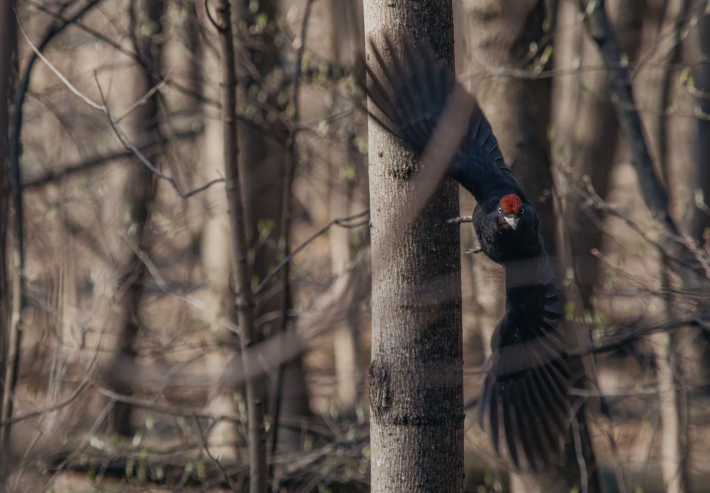 Photograph by  Дмитрий Михайлович