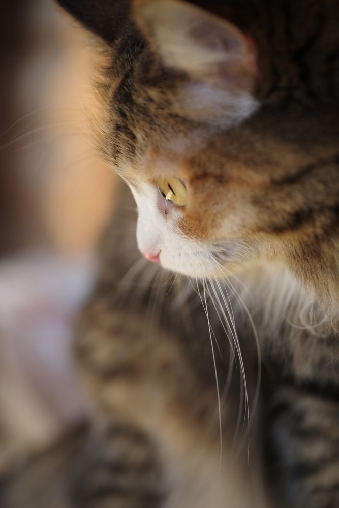 Photograph by Константин Гудков