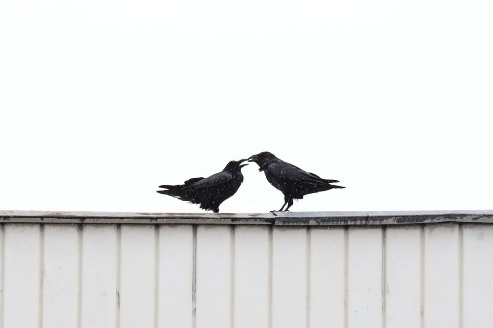 Photograph by Кудинов Илья