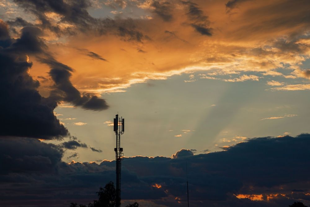 Фотография автора Алина