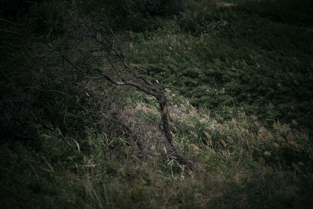 Photograph by Калюжина Татьяна