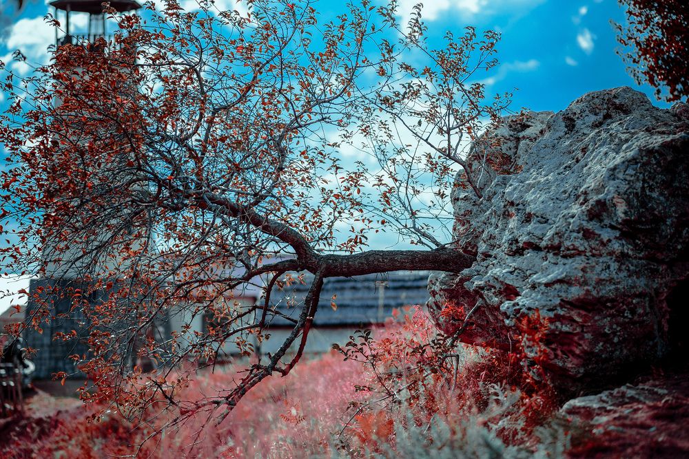 Photograph by Калюжина Татьяна