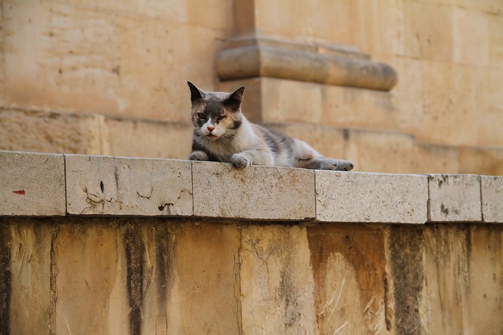 Photograph by Елена Третьякова