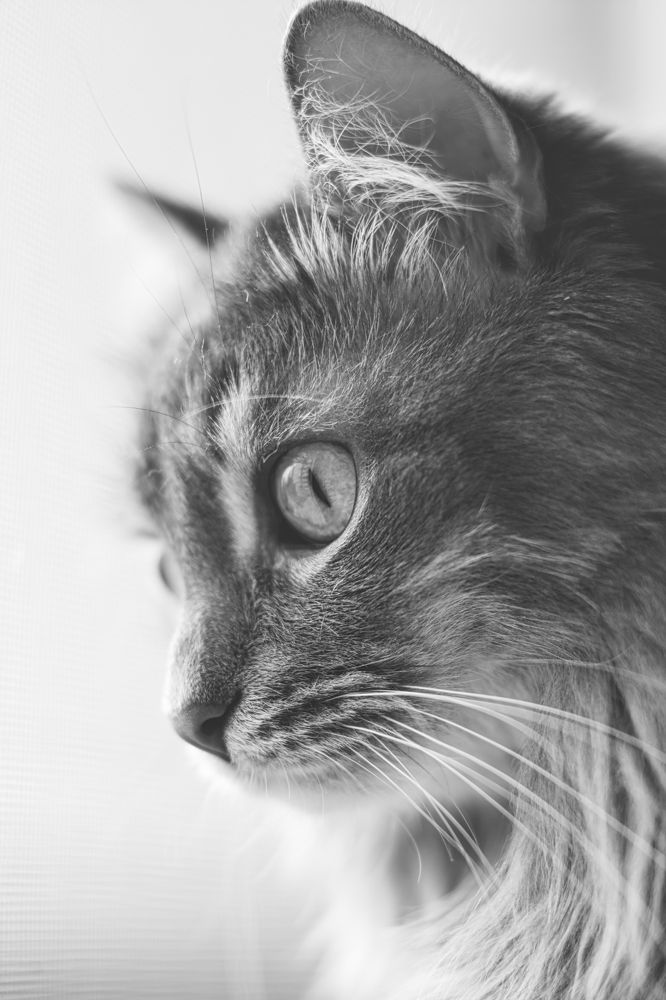 Photograph by Corey D