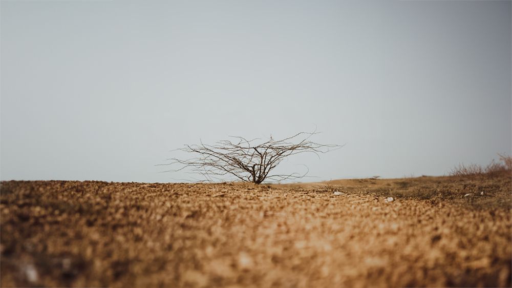 Photograph by Yash Dabhi