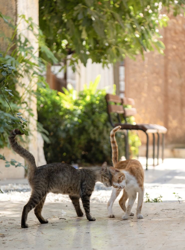 Photograph by Olga Min