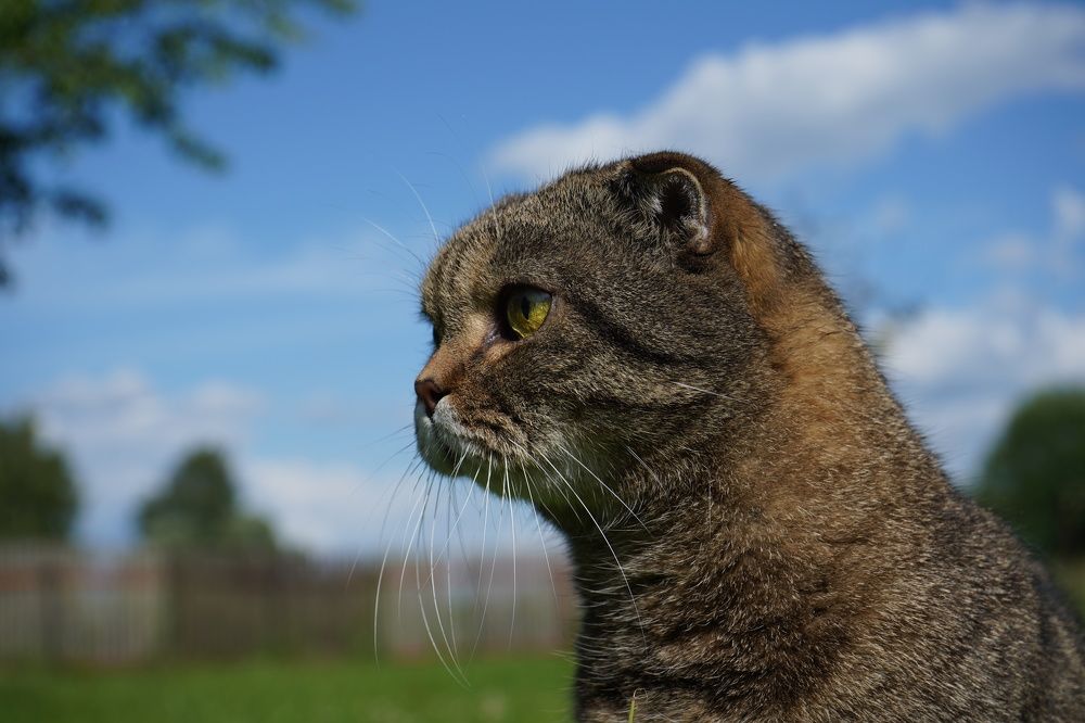 Photograph by Елена Копейкина