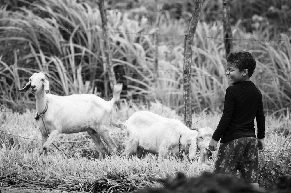 Photograph by wanderley Fortunato