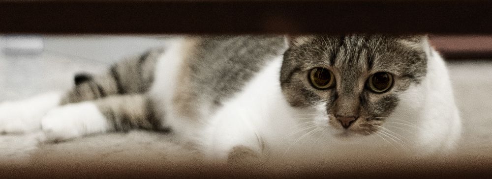 Фотография автора Ketov Vladimir