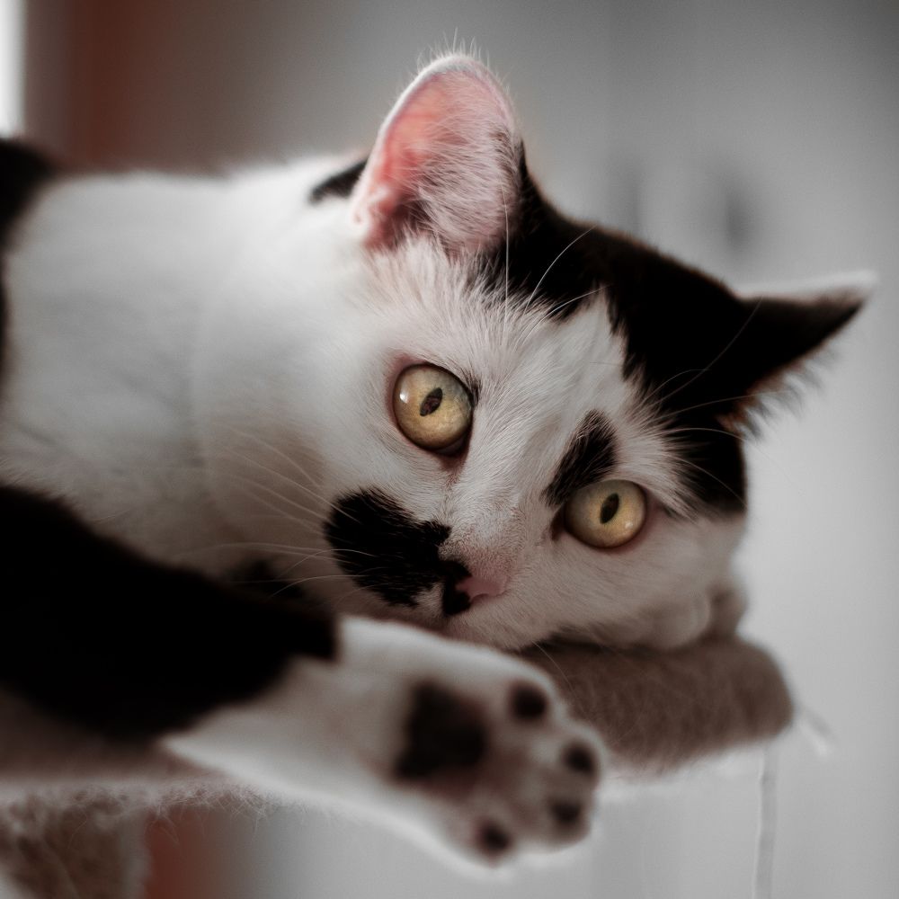 Фотография автора Ketov Vladimir