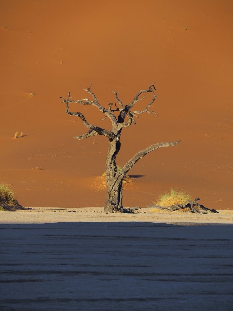 Photograph by Павел Сазанов