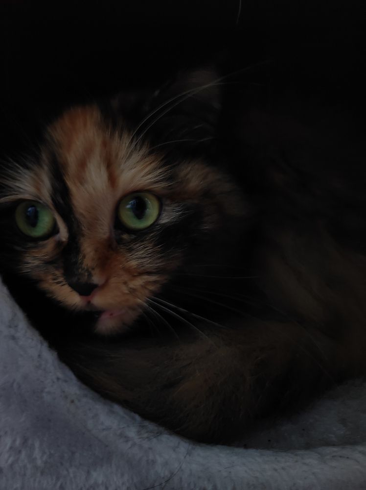 Photograph by Olga Dz