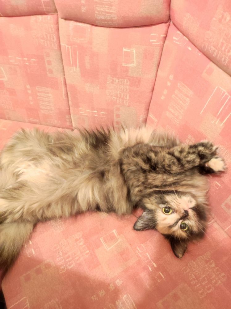 Photograph by Olga Dz