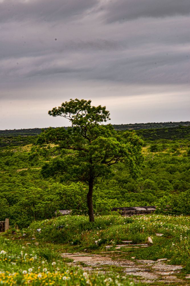 Photograph by Yrii Usoltsev