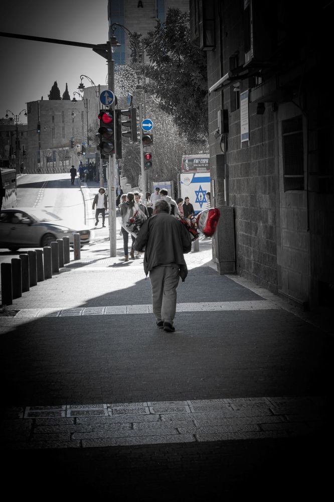 Photograph by Sharone